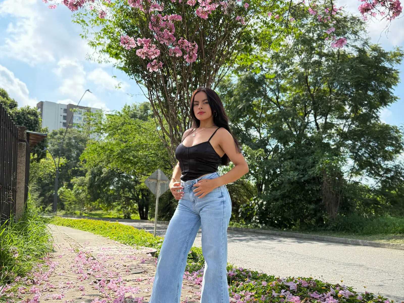 View more of AmelyGiraldo